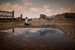 Begegnung mit Zebra